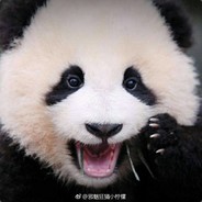蒙古海军上将