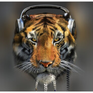 сверхзвуковой