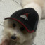 Mitsubishi Engineer