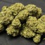 Kush