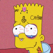 senf_gg - steam id 76561197961167548