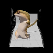 OpenGL enjoyer