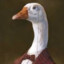 InfantDuck07895