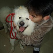 我的小羊蹦蹦跳跳