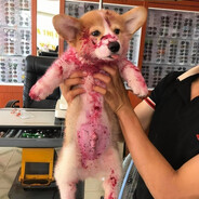 Играю ногами