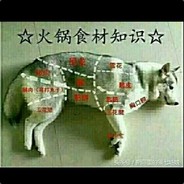 高贵的吉隆坡哈士奇