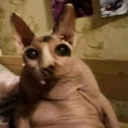 УДАР ОТЧИМА