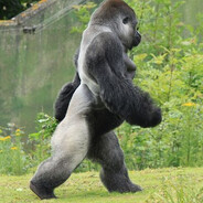 penumbra uralskiy