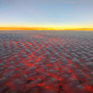 zbro - steam id 76561198367801367