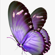 蝴蝶的秘密小屋