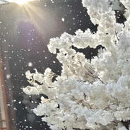 妳提供刀刃，祂獻出咽喉。