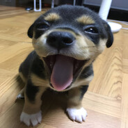 67 - steam id 76561199177321268