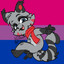 ahornyraccoon