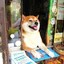 Hachiko - príbeh psa