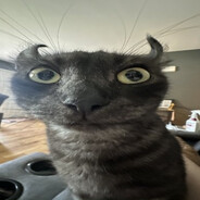 mirakuru
