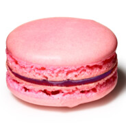 Brother of Macaron