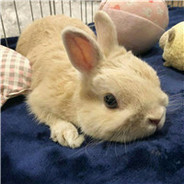 姐就是女皇自信放光芒