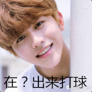 你真像蔡徐坤