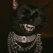 Sir Meowington