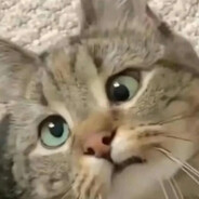 展现超绝松弛感