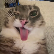 Owen