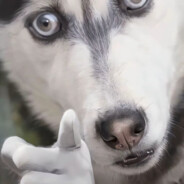 任何时间都要爱