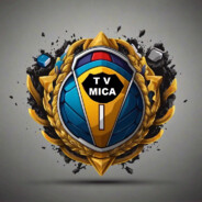 TV MICA