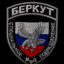 БЕРКУТ