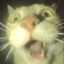 derk