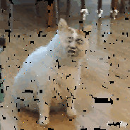 没有感情的盆栽