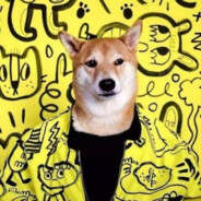 草莓味牛子12138