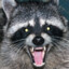 SpookyRaccoon