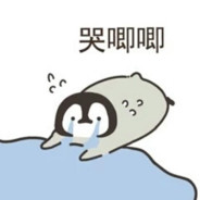 大佬们我是真的菜