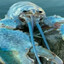 $$BLUE_LOBSTER$$