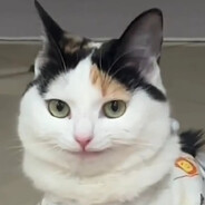 Alsozon's avatar