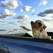 她还欠我一个拥抱