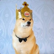 Doge The King