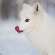 _SnoW_