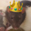 rat-queen