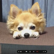shunchan3
