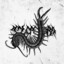 scolopendra