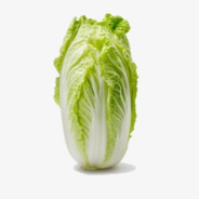 大白菜