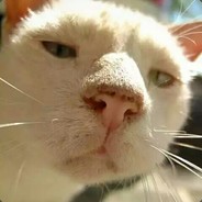 我想吃海底捞！