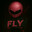 fly