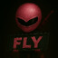 fly