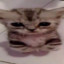 ДОЗИК