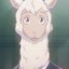 Alpaca°Chan