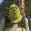 SHREK