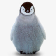 Waddles