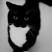petarr?'s avatar